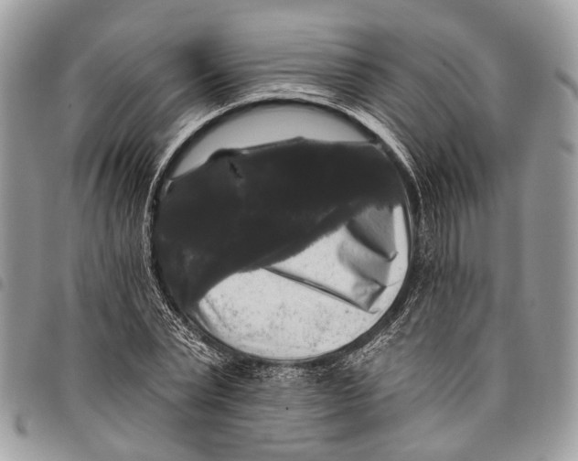 X0000097790783200803281722