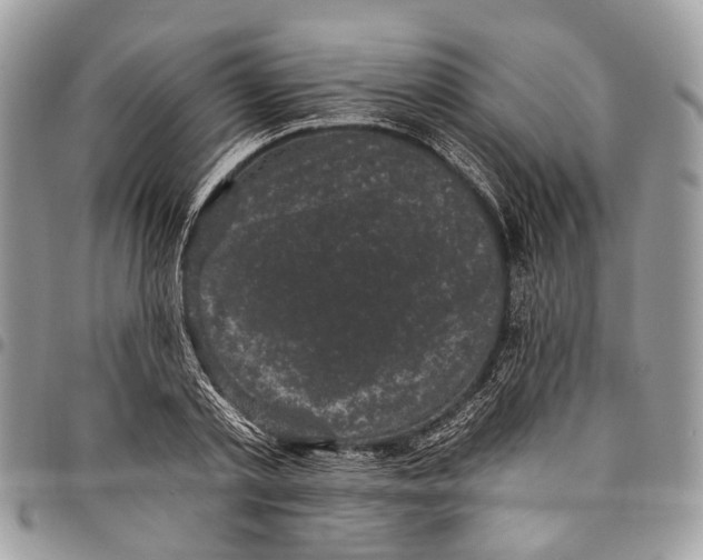 X0000097790789200803281722