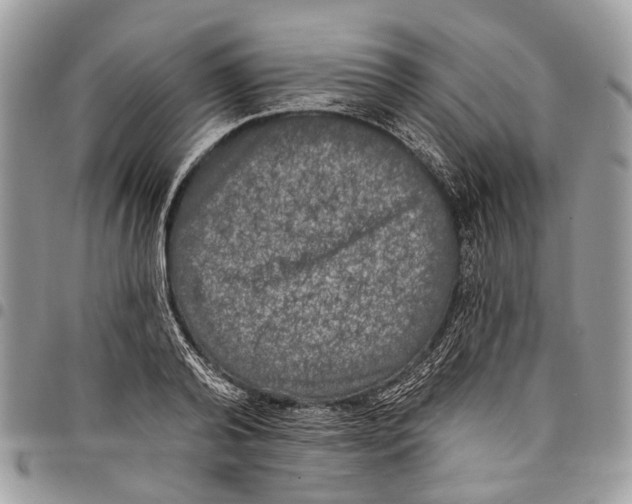 X0000097790792200803281722