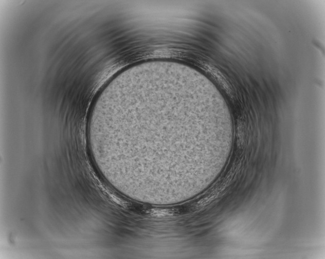 X0000097790794200803281722