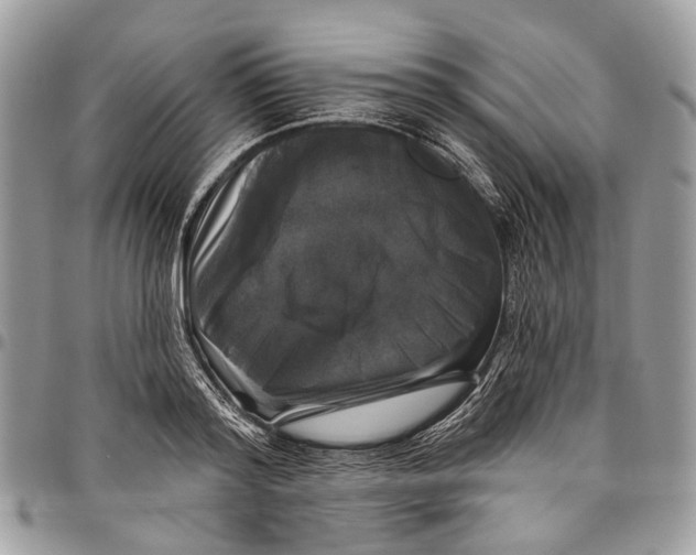 X0000097790796200803281722