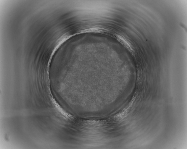 X0000097790800200803281722