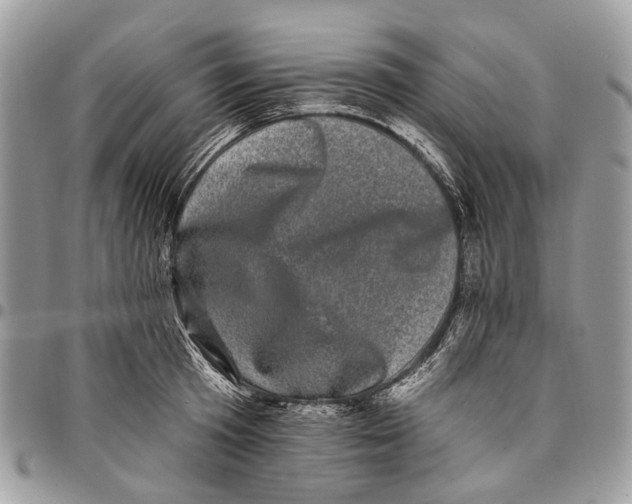 X0000097790801200803281722