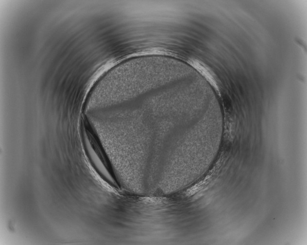 X0000097790805200803281722