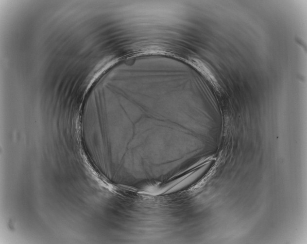 X0000097790806200803281722