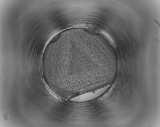 X0000097790808200803281722