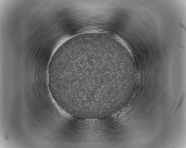X0000097790811200803281722