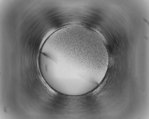 X0000097790812200803281722
