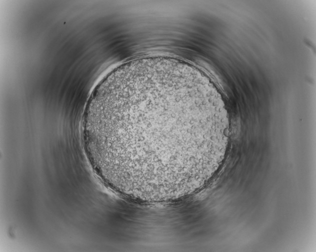 X0000097790814200803281722