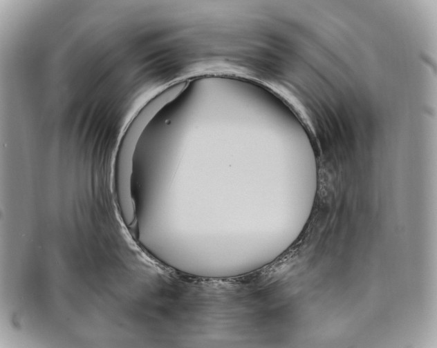 X0000097790815200803281722