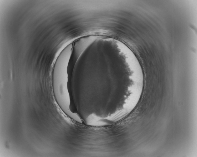 X0000097790816200803281722