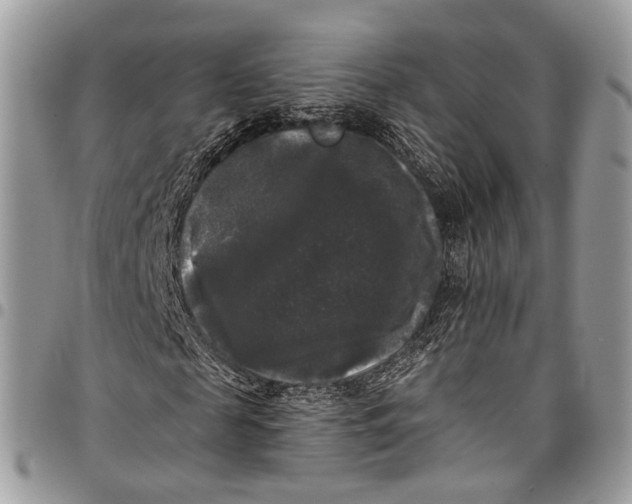 X0000097790817200803281721