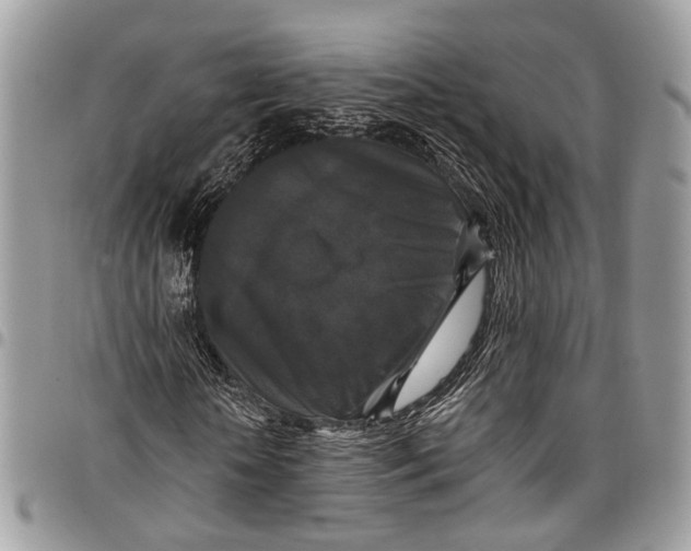 X0000097790818200803281721