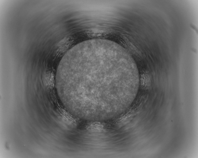 X0000097790820200803281721