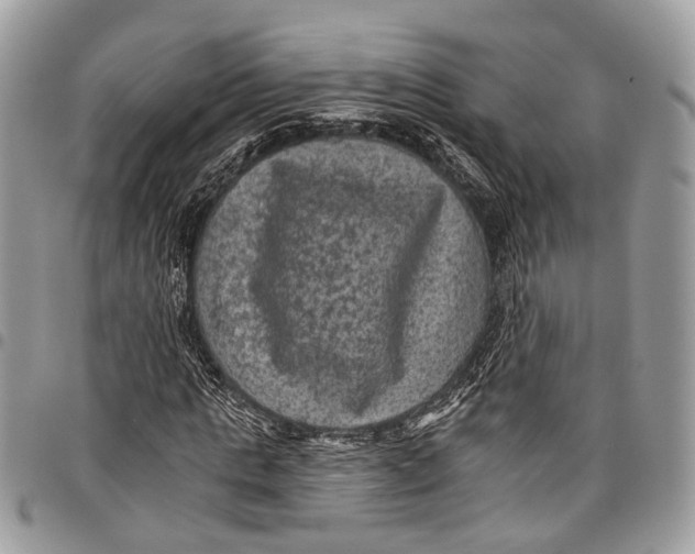 X0000097790821200803281721