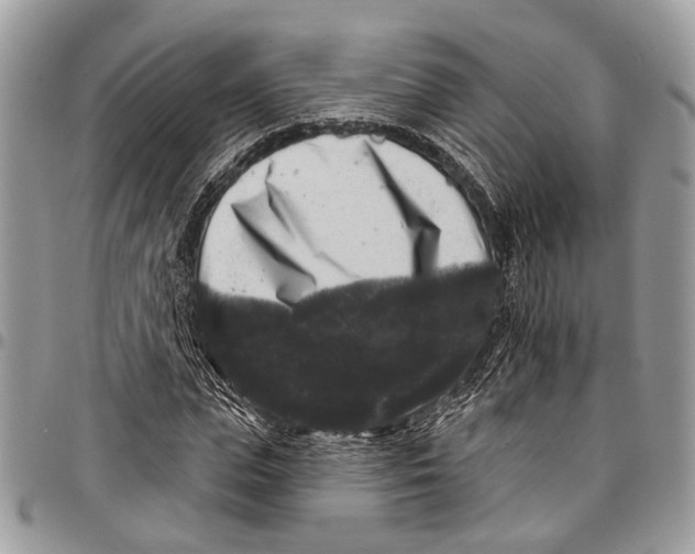 X0000097790823200803281721
