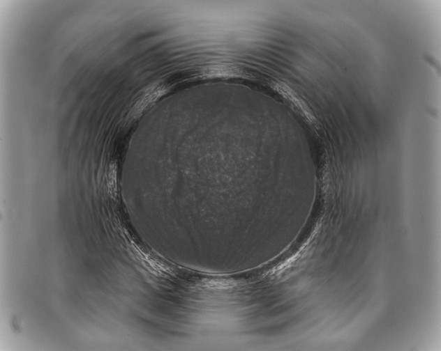 X0000097790825200803281721