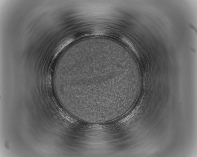 X0000097790827200803281721