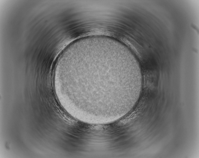 X0000097790828200803281721