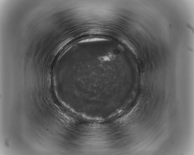 X0000097790829200803281721
