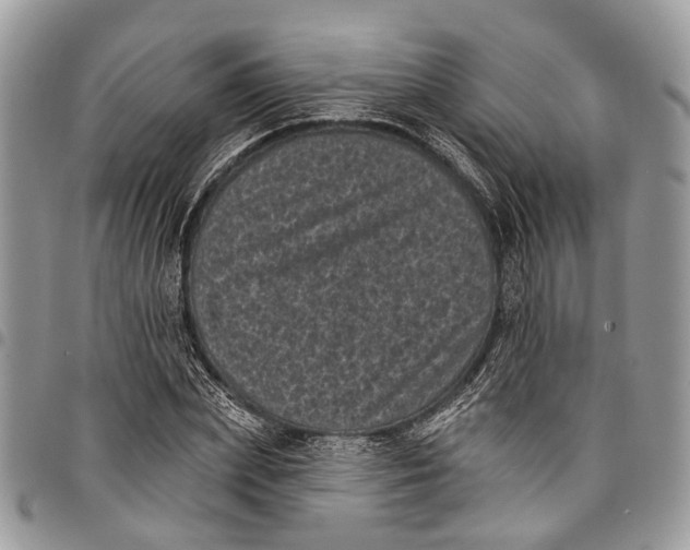 X0000097790831200803281721