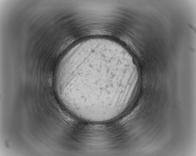 X0000097790833200803281721