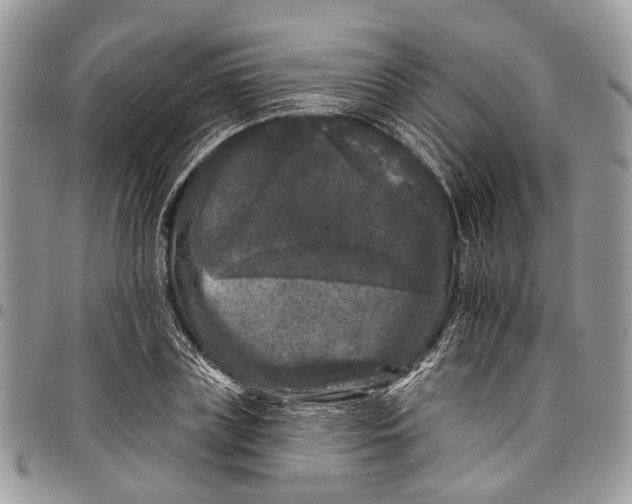 X0000097790835200803281721