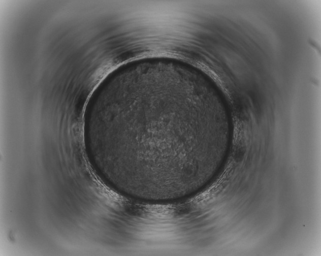 X0000097790836200803281721