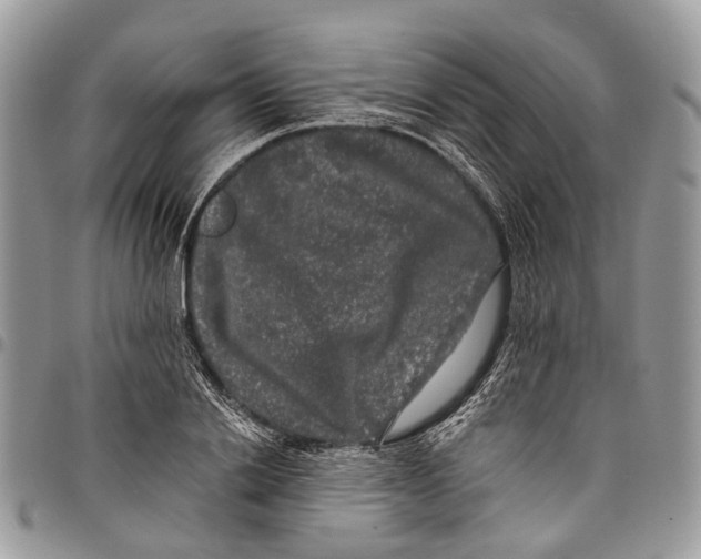 X0000097790838200803281721