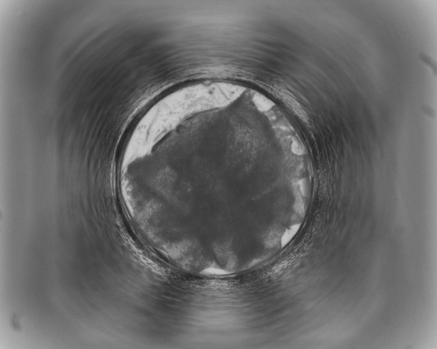 X0000097790839200803281721