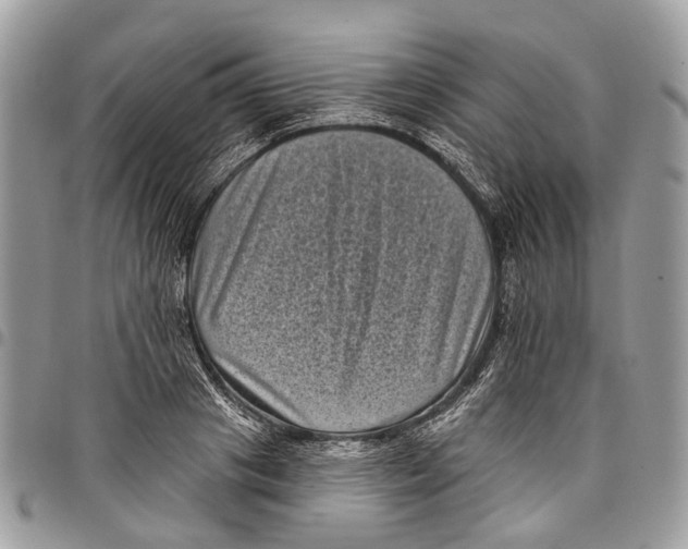 X0000097790841200803281721