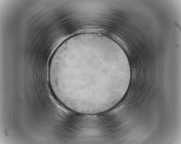 X0000097790844200803281721