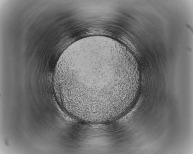 X0000097790849200803281721