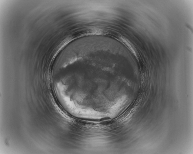 X0000097790851200803281721