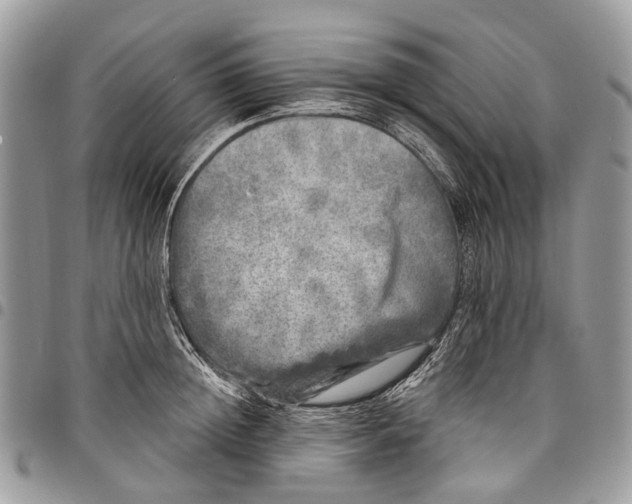 X0000097790852200803281721