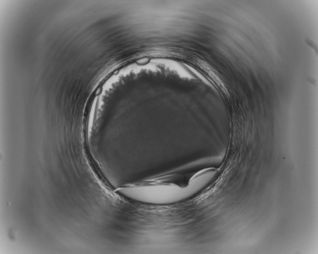 X0000097790853200803281721