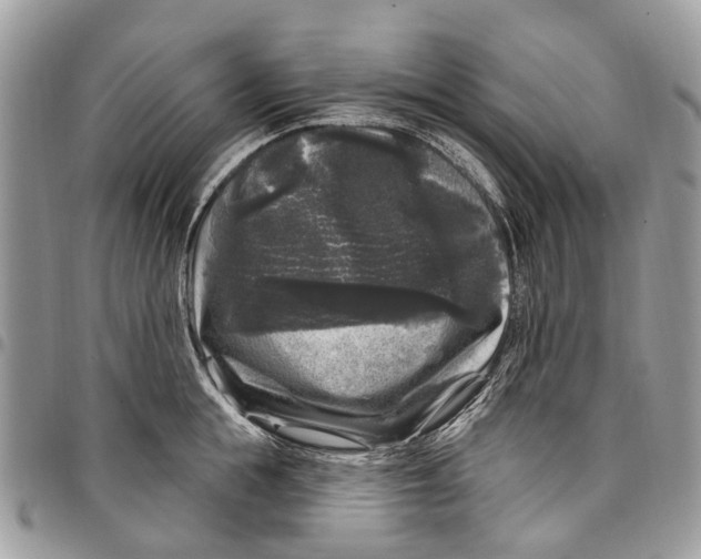 X0000097790855200803281722