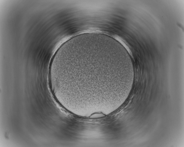 X0000097790861200803281722