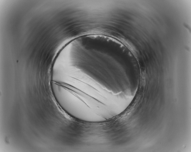 X0000097790862200803281722