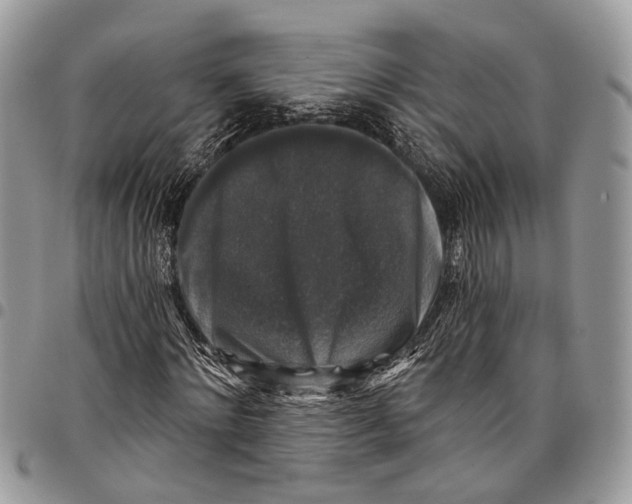 X0000097790868200803281721