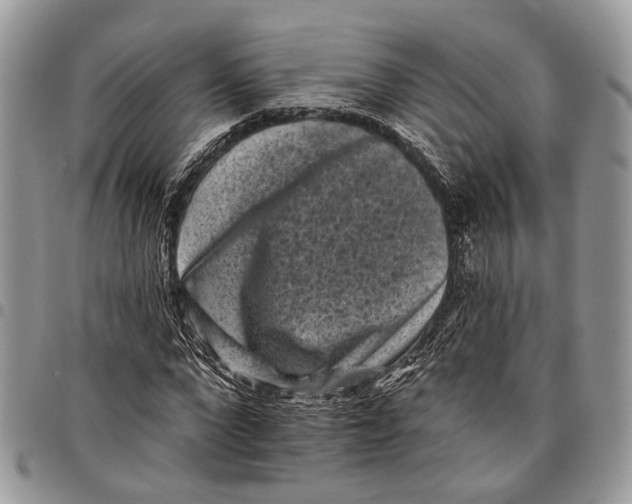X0000097790872200803281721