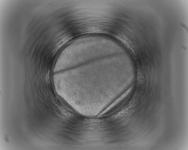 X0000097790873200803281721
