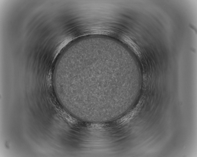 X0000097790875200803281721