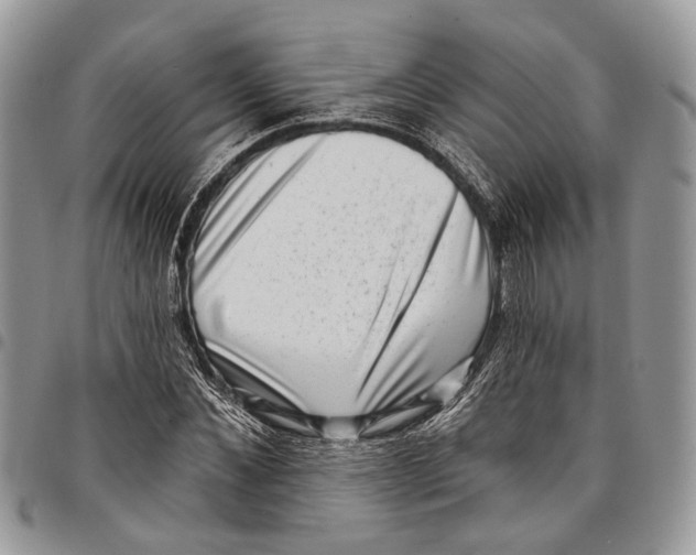 X0000097790876200803281721