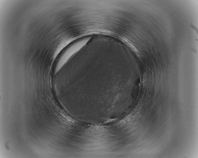 X0000097790877200803281721