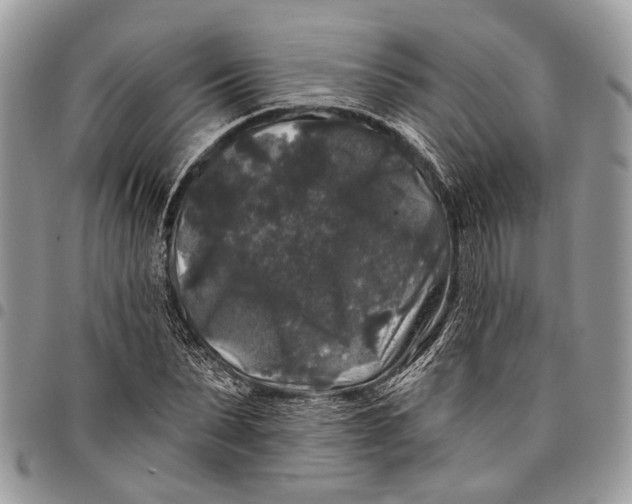 X0000097790879200803281721