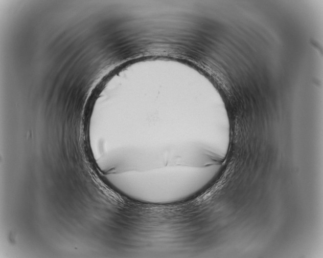 X0000097790880200803281721