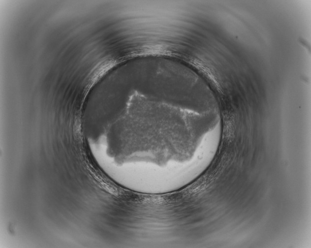 X0000097790882200803281721