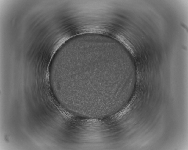 X0000097790883200803281721