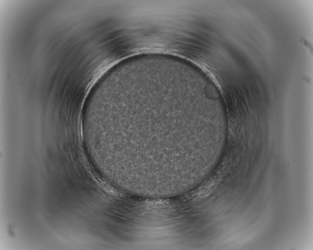 X0000097790887200803281721